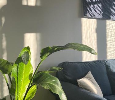 Rada Apartment | Det Gamla Postkontoret