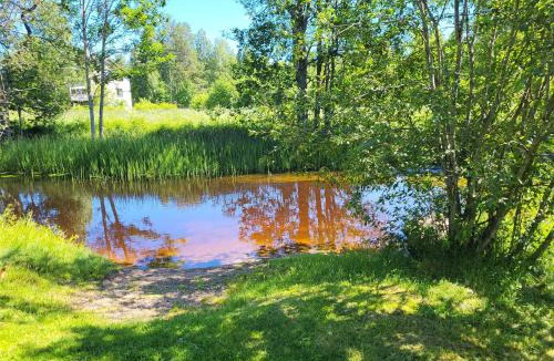 Ockelbo Cabin | Det lilla ovanliga boendet mitt i skogen