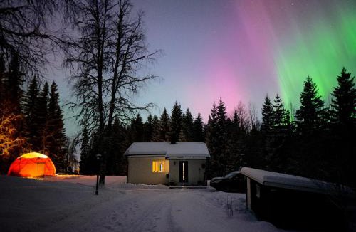 Lillehammer Other | Dome Glamping with shared bathroom