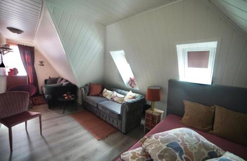 Alesund Apartment | Downtown Historical House with Renovated apartments free P near