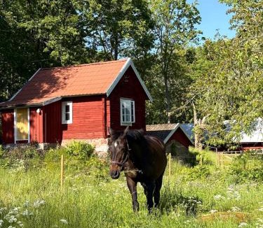 Ydre Municipality House | Drängstugan - Tiny House