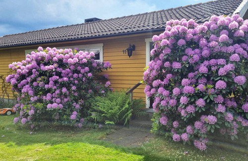 Frillesas House | Dream cottage by the sea in Frillesås |SE02120