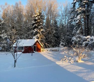 Norrtalje Bed & Breakfast | Egen stuga med delat badrum