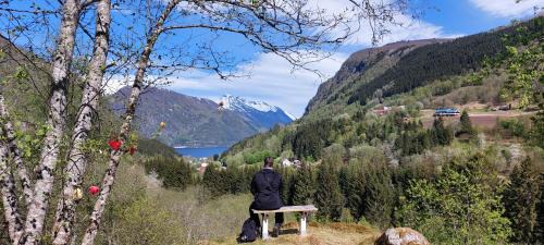Eidsdal Other | Eidsdal Camping og Feriehus