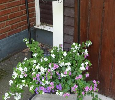 Katrineholm Hostel | Ekbackens Vandrarhem