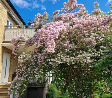 Tranaskvarn-Ekmarksberg House | Eldaren