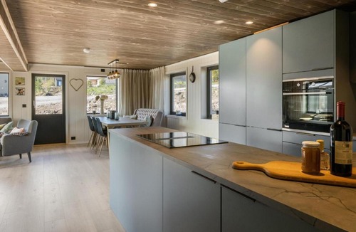 Loten Municipality House | Elgen · Shuffleboard & Ski · Budor · 60 min OSL
