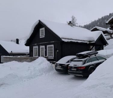 Rauland House | Endely - ski inn/ut