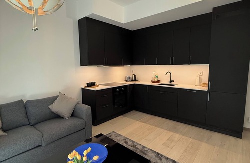 Gamle Oslo Apartment | Enjoyable 1-bedroom apartment in the heart of Bjørvika oslo close to oslo S