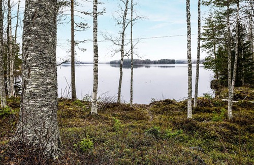 Norrfors House | Experience a vacation close to nature, in this classic Swedish cottage with lake view.