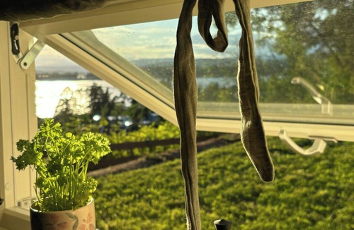 Hole House | Family cabin with panoramic views of Tyrifjorden