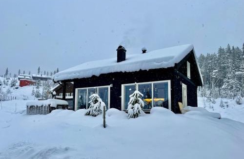 Gol Municipality House | Family friendly cabin Hemsedal GolfAlpin golf, ski-out, fireplace & wifi