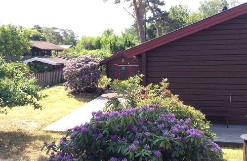 Mellbystrand House | Fantastic family vacation 600m from sandy beach, large garden, near forest, river