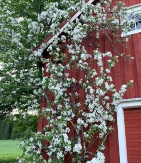 Steinkjer House | Farmhouse With Wildlife Close To Steinkjær