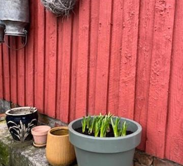 Songdalen House | Farmhouses in Finsland