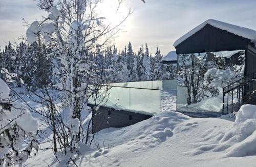 Nord-Aurdal House | Fela Mirror Cabin Designer Hideaway 1000 m Above Sea Level