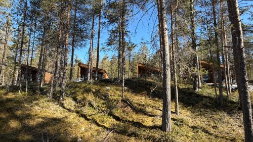 Engerdal Municipality Other | Femund Canoe Camp
