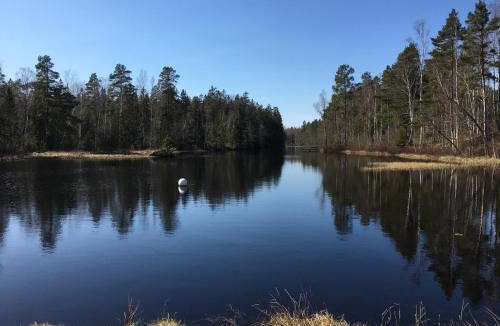 Orrefors House | Ferienhaus in Orrefors