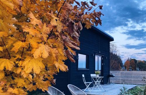 Orebro House | Field View Cabin