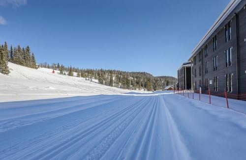 Skeikampen Apartment | Fin leilighet ca 30 min med bil til Hunderfossen
