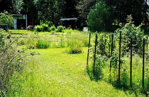 Krylbo House | Fint hem på en stor tomt