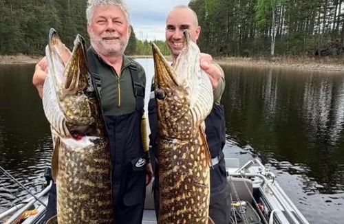 Lotjola Villa | Fishing Cottage Villa Joutsen on the lake Saimaa with Jacuzzi