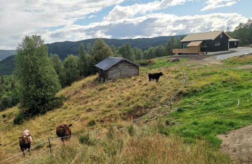 Al House | Flott hytte sentralt i Hallingdal