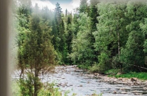 Lardal Municipality House | Forest cabin by the river