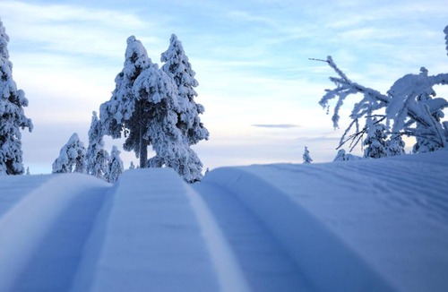 Ljordal Apartment | Fulufjellshjørnet Apartment - Winter Wonderland - Snow and Nature in Norway