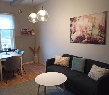 Orkelljunga Apartment | Gästis lägenhet Örkelljunga