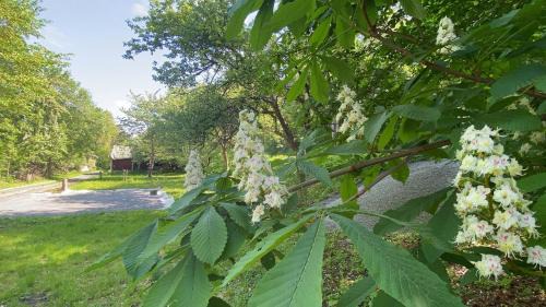 Granna Villa | Garden View vacation home in Granna