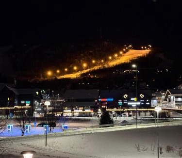 Geilo Apartment | Geiloholtet central city apartment