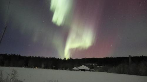 Undrom Other | Glamping Höga Kusten