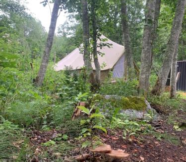 Undrom Other | Glamping Höga Kusten