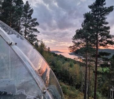 Rissa Other | Glassigloo med panoramautsikt - Nordlys og stjernehimmel - Fosen