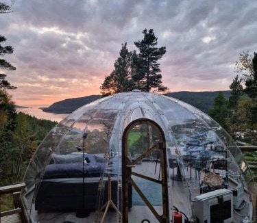 Rissa Other | Glassigloo med panoramautsikt - Nordlys og stjernehimmel - Fosen