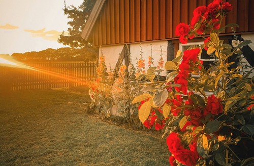 Angelholm House | Gorgeous and cosy 3-bedroom house in beautiful landscape.