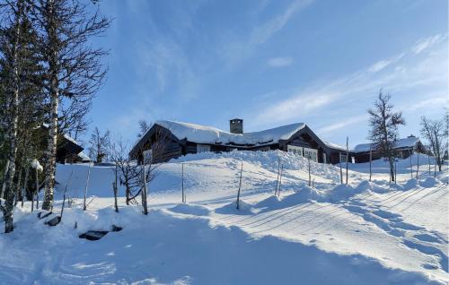 Sor-Fron House | Gorgeous Home In Gålå With House A Mountain View