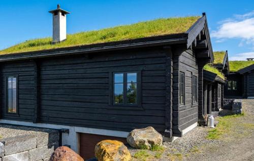 Nore og Uvdal House | Gorgeous Home In Uvdal With Wifi