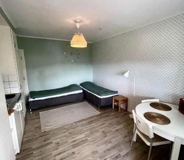Enanger Apartment | Haga mini