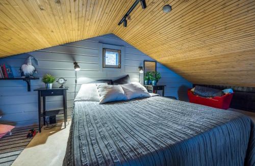 Kehys-Kainuu House | Halla-Ukko 3 A & B Incl WiFi, Sauna, Terrace