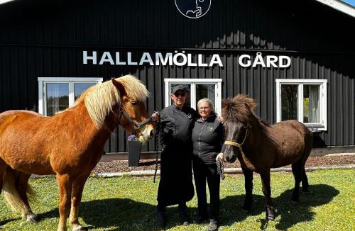 Andrarum Bed & Breakfast | Hallamölla Gård