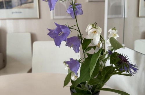 Punavuori Apartment | Harbour light studio of Ilmi for 4 persons in Punavuori