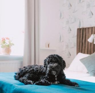 Hasselo Hostel | Hasselö Hostel