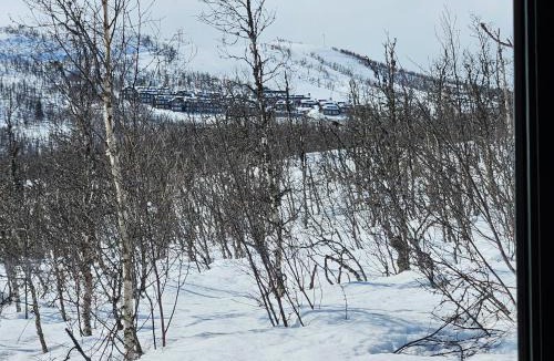 Hol Municipality Ski Chalet | havsdalen 57