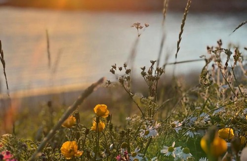 Bugynes Hotel | Hedvig Guesthouse & Ragnahus