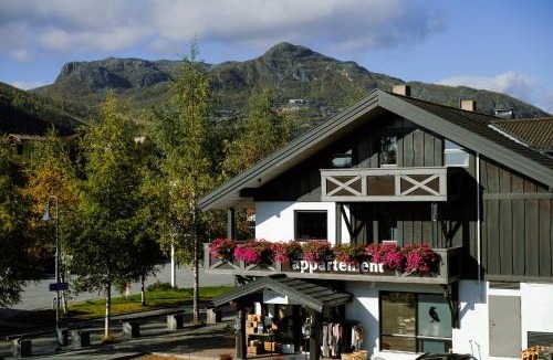 Hemsedal Apartment | Hemsetunet Apartments