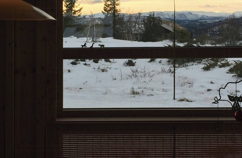 Fla Municipality House | High mountain cabin at tree line near Eggedal
