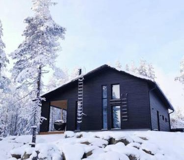 Jamsa House | Himos Villa Aurinkorinne