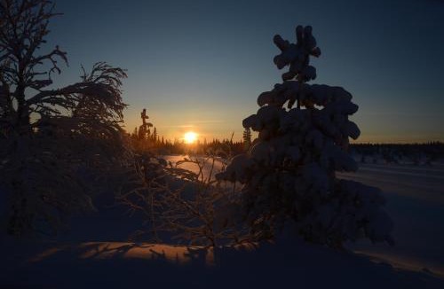 Ljordal Apartment | Hjørnet - Fulufjellets nasjonalparker - snø - alpint - langrenn - snøscooter